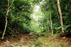 15.8.14BktKiara.IMG_1000.rs.web