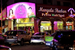 17.7.28Brickfields.IMG_9855rs.web