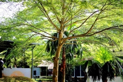 17.10.14FoW.ksnp.IMG_2137.1.web