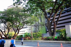 18.2.7WUF9.klcc.IMG_4638.web.1