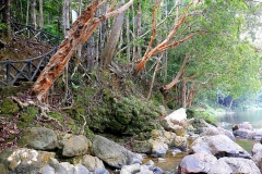 a. Sg Kincin by park HQ.. Visited Endau-Rompin Pahang State Park (Selancar) 18-23.8.2015. .IMG_1103.web.1