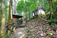 e. Seri Mahkota Waterfall trail.. The expedition was a major push to establish the park, named after the two main rivers there.IMG_1176.web.1