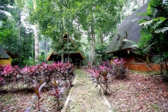 q. Some chalets in disrepair. What a pity. They were nice but not well-maintained. IMG_1110.web.1