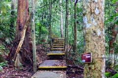 Swamp Loop. .16.9.2015.IMG_1531web.1