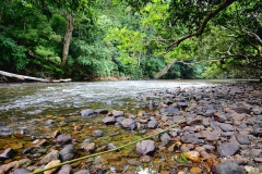 Tembeling river near Cagar Anjing.20.9.2015.IMG_1708web.1