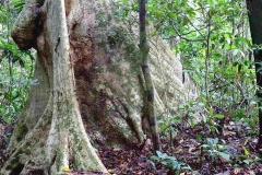 To Bumbun Tabing.19.9.2015.IMG_1642web.1