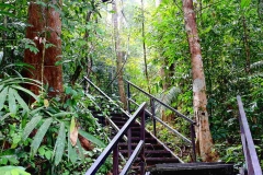 To Jenut Muda from Lubok Simpon.18.9.2015..IMG_1566web.1