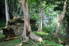 15.10.19GuaKelam.IMG_2069.web