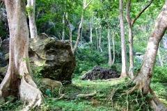 15.10.19GuaKelam.IMG_2071.web