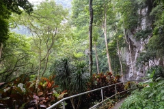 15.10.19GuaKelam.IMG_2099.web