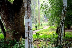 15.10.19GuaKelam.IMG_2109.web