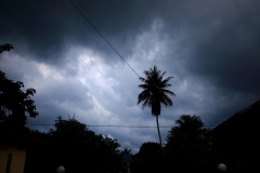 Kampung Santan b4 the storm b4 the storm. 15.7.20. IMG_0019-1.web