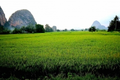 On the road To Bukit Keteri. 15.7.22.IMG_0101.web.1