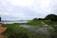 Timah Tasoh. 15.7.21.IMG_0050.web.1