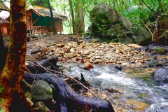 15.10.22 Perlis State Park-Wang Klian. Chalet.IMG_2170-2.web