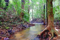 15.10.22 Perlis State Park-Wang Klian.IMG_2167-1.web