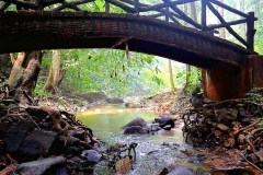 15.10.22 Perlis State Park-Wang Klian.IMG_2186.web1