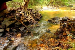 15.10.22 Perlis State Park-Wang Klian.IMG_2203.web