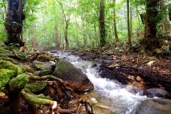 15.10.22 Perlis State Park-Wang Klian.IMG_2207-1.web