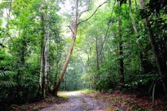 15.10.22 Perlis State Park-Wang Klian.web.IMG_2247.1