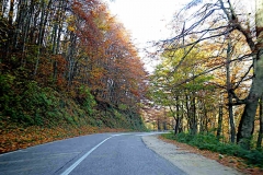 18.10.18 Sarajevo-Srebrenica.IMG_8546.1