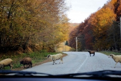 18.10.18 Sarajevo-Srebrenica.IMG_8691.1