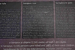 18.10.17 Sarajevo War Tour.IMG_8378.1