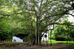 18.5.16 ksnp.IMG_5671.web