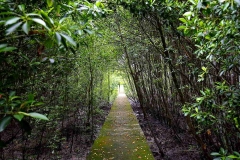 18.5.16 ksnp.IMG_5695.web