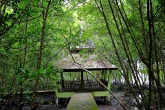 18.5.16 ksnp.IMG_5698.web