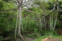 18.5.16 ksnp.IMG_5729-1.web