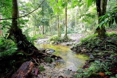 15.8.9SgPerdek.IMG_0815.web.1