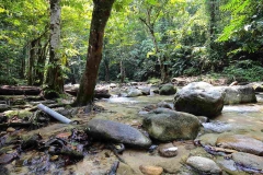 15.8.3TWNS2SgTua.IMG_0535.web