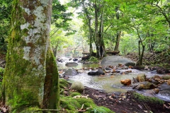 15.8.3TWNSSgTua.IMG_0493.web.1