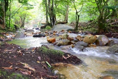 15.8.3TWNSSgTua.IMG_0495.web.1