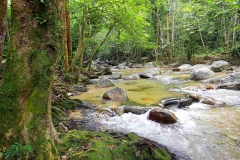 15.8.3TWNSSgTua.IMG_0506.web.1