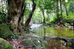 15.8.9SgCongkak.IMG_0714.web.1