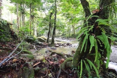 15.8.9SgCongkak.IMG_0720.web.1