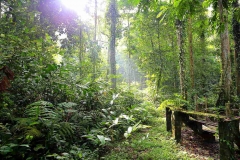 15.8.9SgCongkak.IMG_0754.web.1