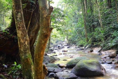 15.8.7TmnRimbaAmpang.IMG_0637.web.1