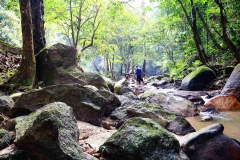 15.8.7TmnRimbaAmpang.IMG_0668.web.1