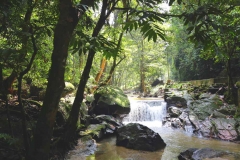 15.8.7TmnRimbaAmpang.IMG_0681.web