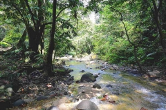 15.8.7TmnRimbaAmpang.IMG_0700.web.1